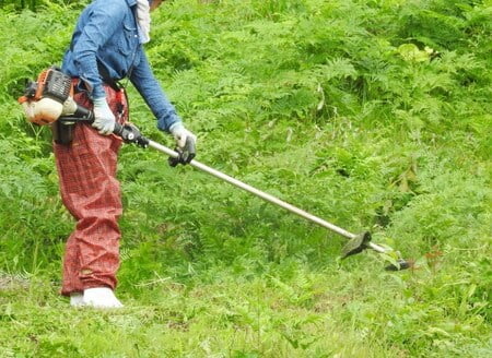 庭に塩をまいてしまった 雑草に塩はどのくらいで生えなくなる 庭に塩をまく危険性と効果を解説 マロン